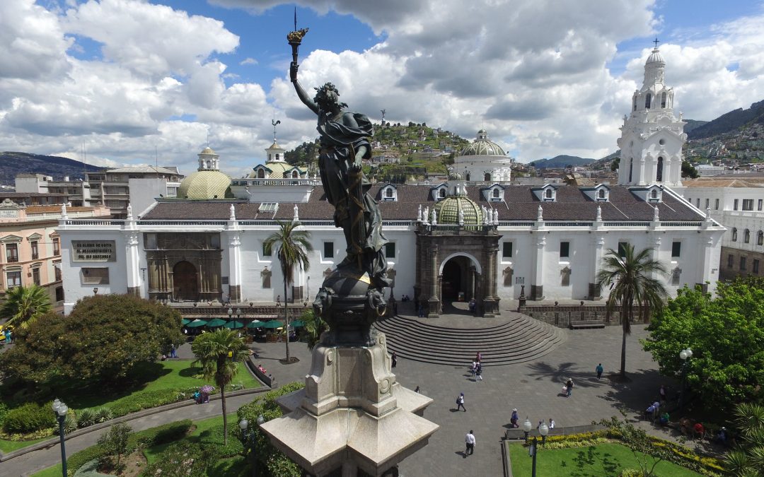 Quito destacó como destino biodiverso y único para avistamiento de aves